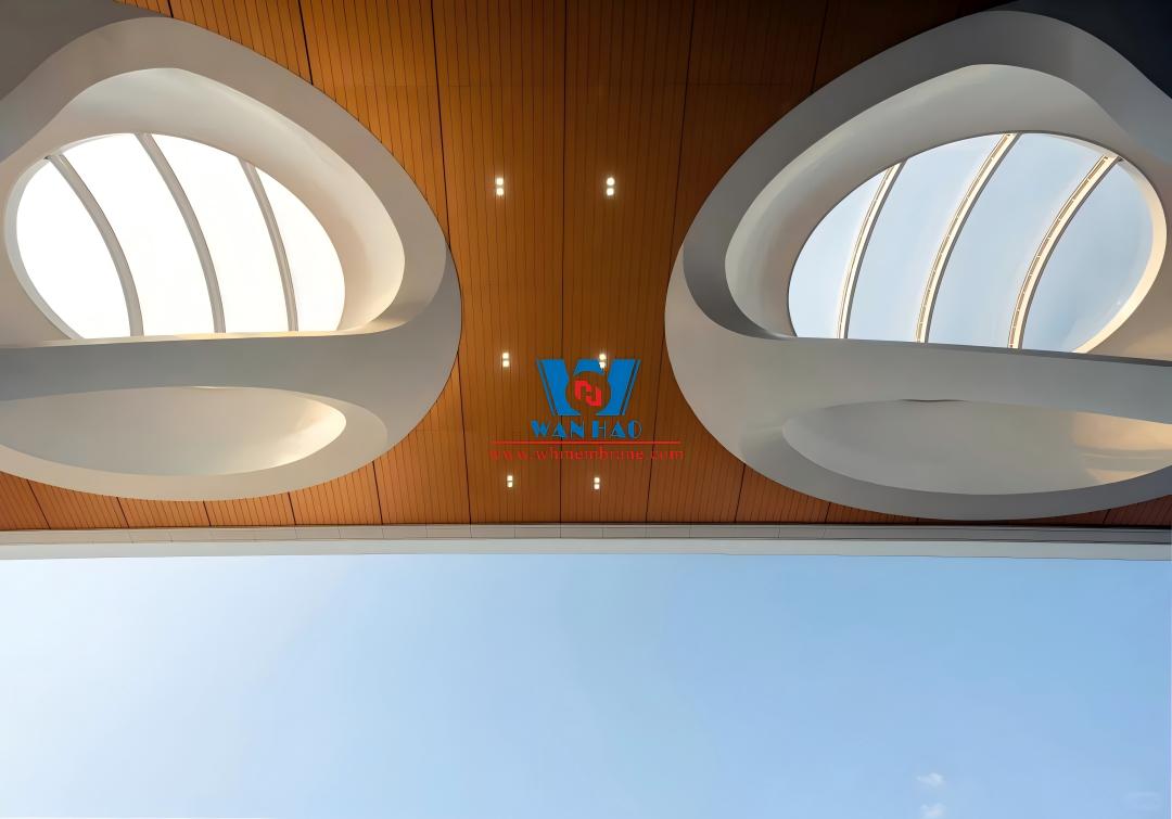 Chongqing East Station Membrane Structure Roof Project Chongqing East Station Membrane Structure Roof Project