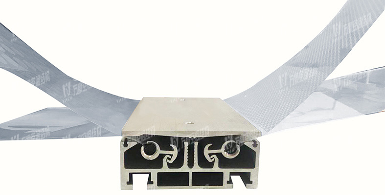 بنية غشاء ETFE الشفاف