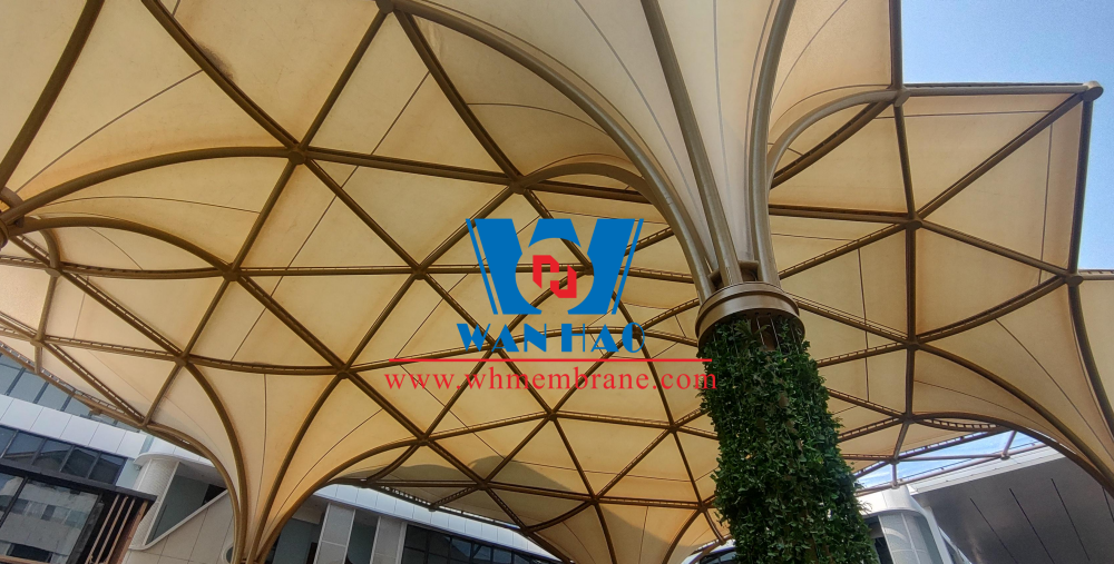 الهيكل الغشائي الفولاذي لمركز تقارب السلع المميزة لرابطة دول جنوب شرق آسيا (آسيان)، قوانغشي