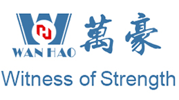 هيكل غشائي للملعب